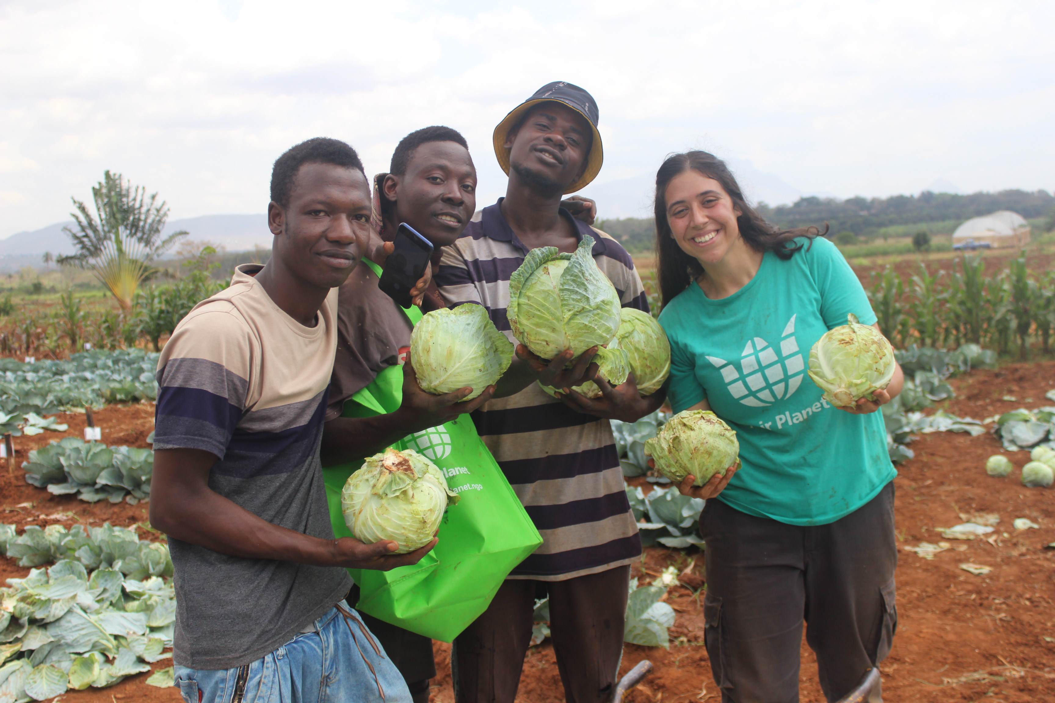 Fair Planet’s team in Tanzania, standing in a field holding cabbages planted during a crop productivity trial 