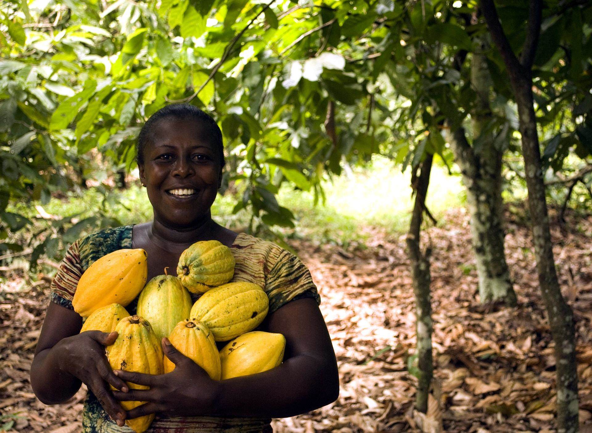 Nitidae female cocoa farmer
