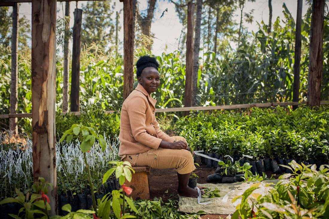 Treedom Farmers Tanzania